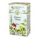 Lemon Balm Tea